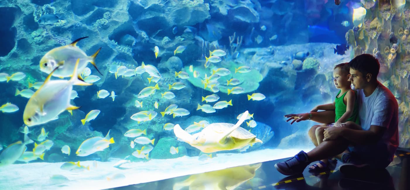 sea-life-aquarium